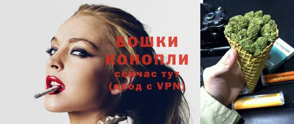 mdpv Горнозаводск