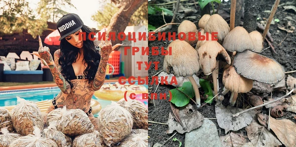 винт Гусев