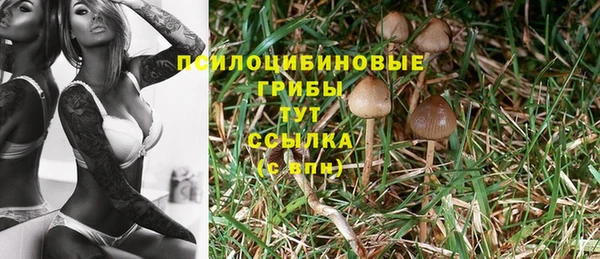 винт Гусев