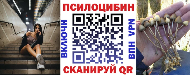 Купить где  Красный Кут  Галлюциногенные грибы Magic Shrooms 